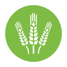 Seed Treatment
