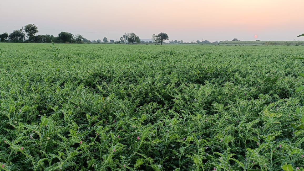 Agro Solutions